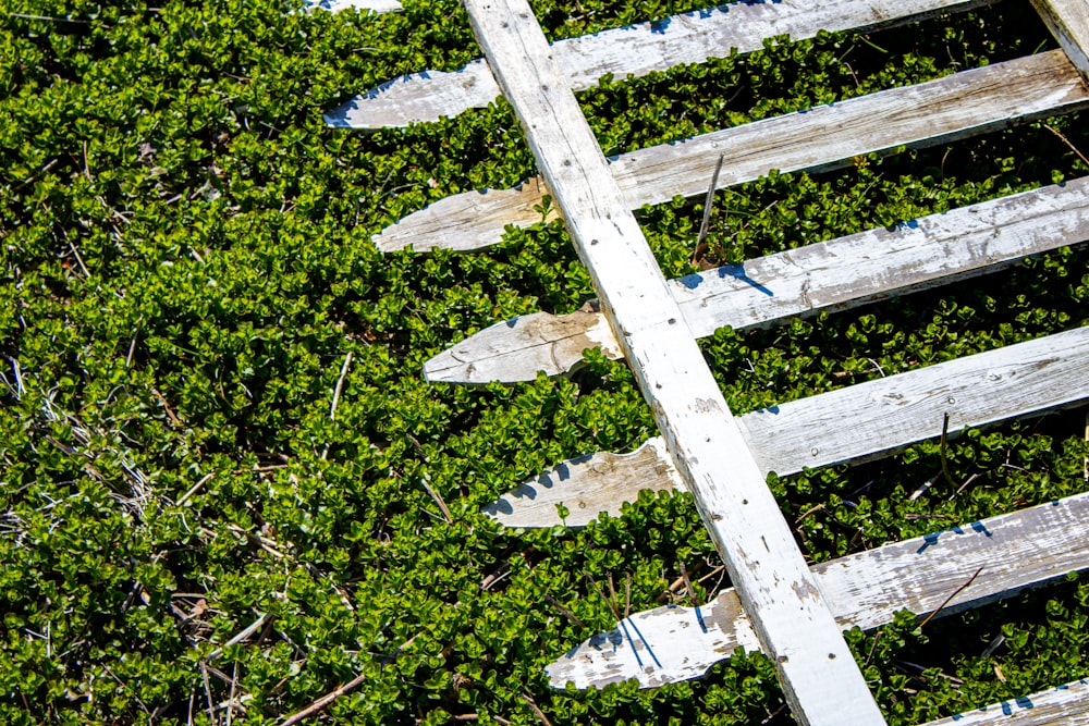 white wooden fence on green grass field