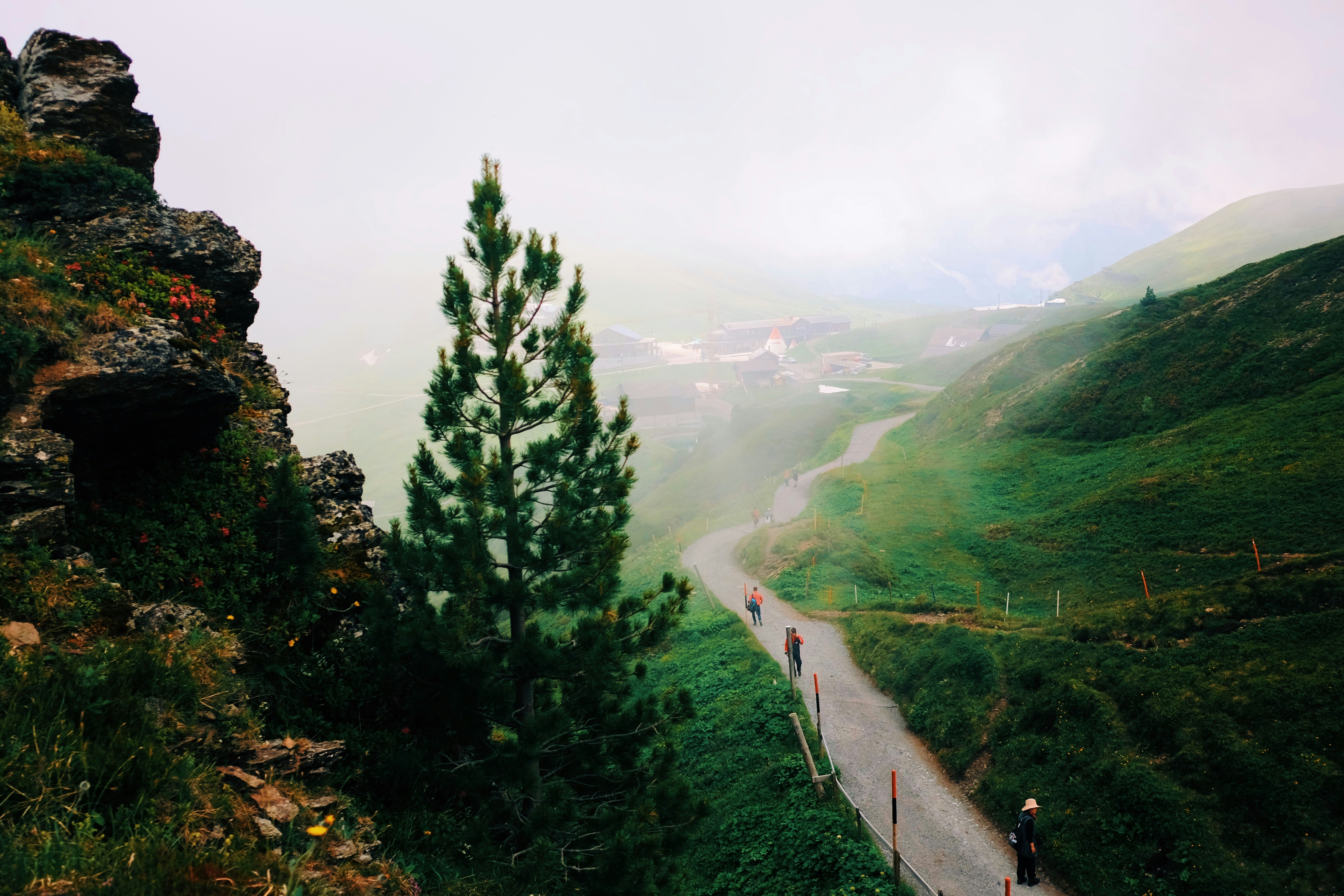 Photo by michellechiu