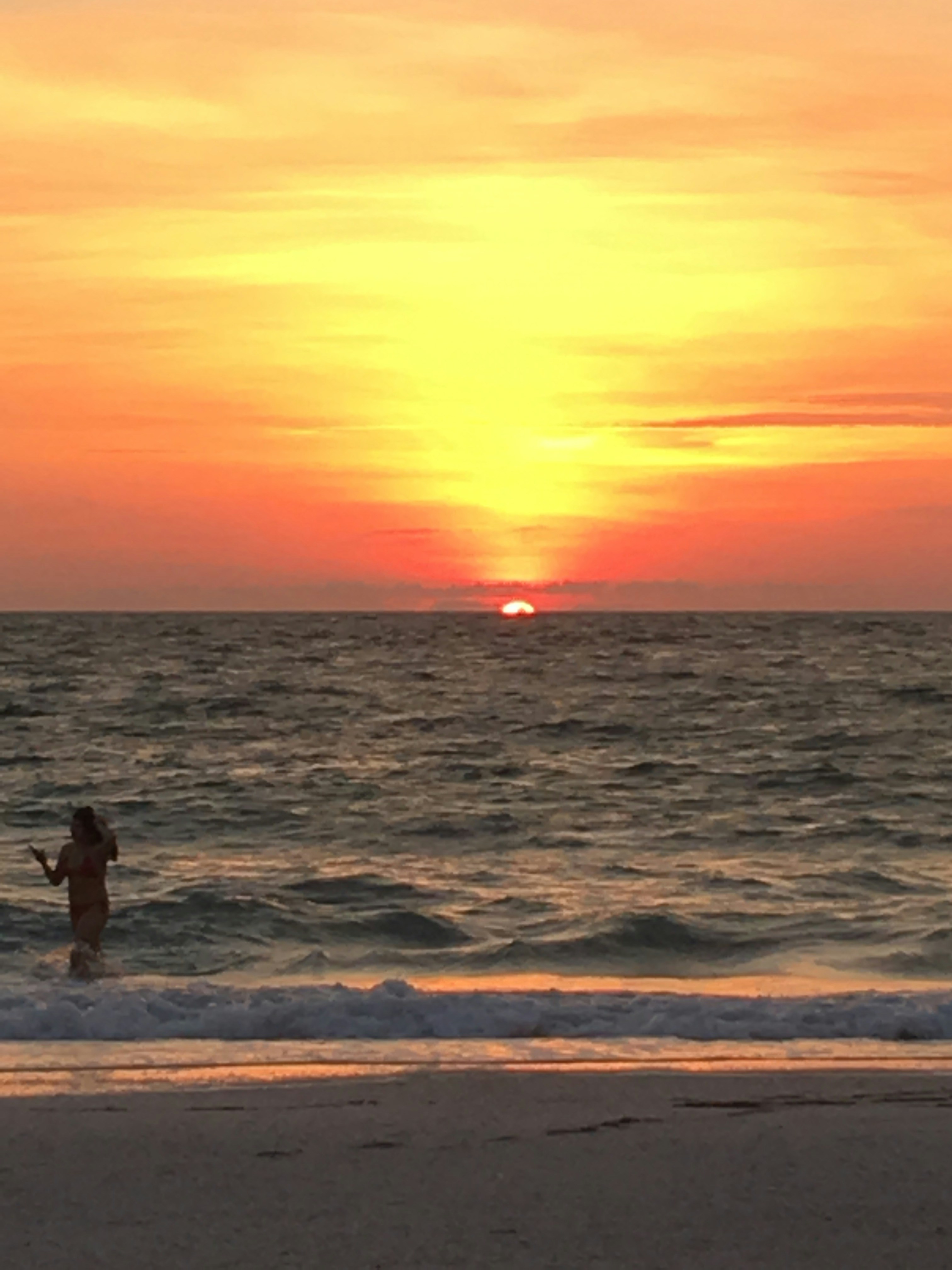 PaintByNumbers 9 best free paintbynumber, outdoor, plant and flower