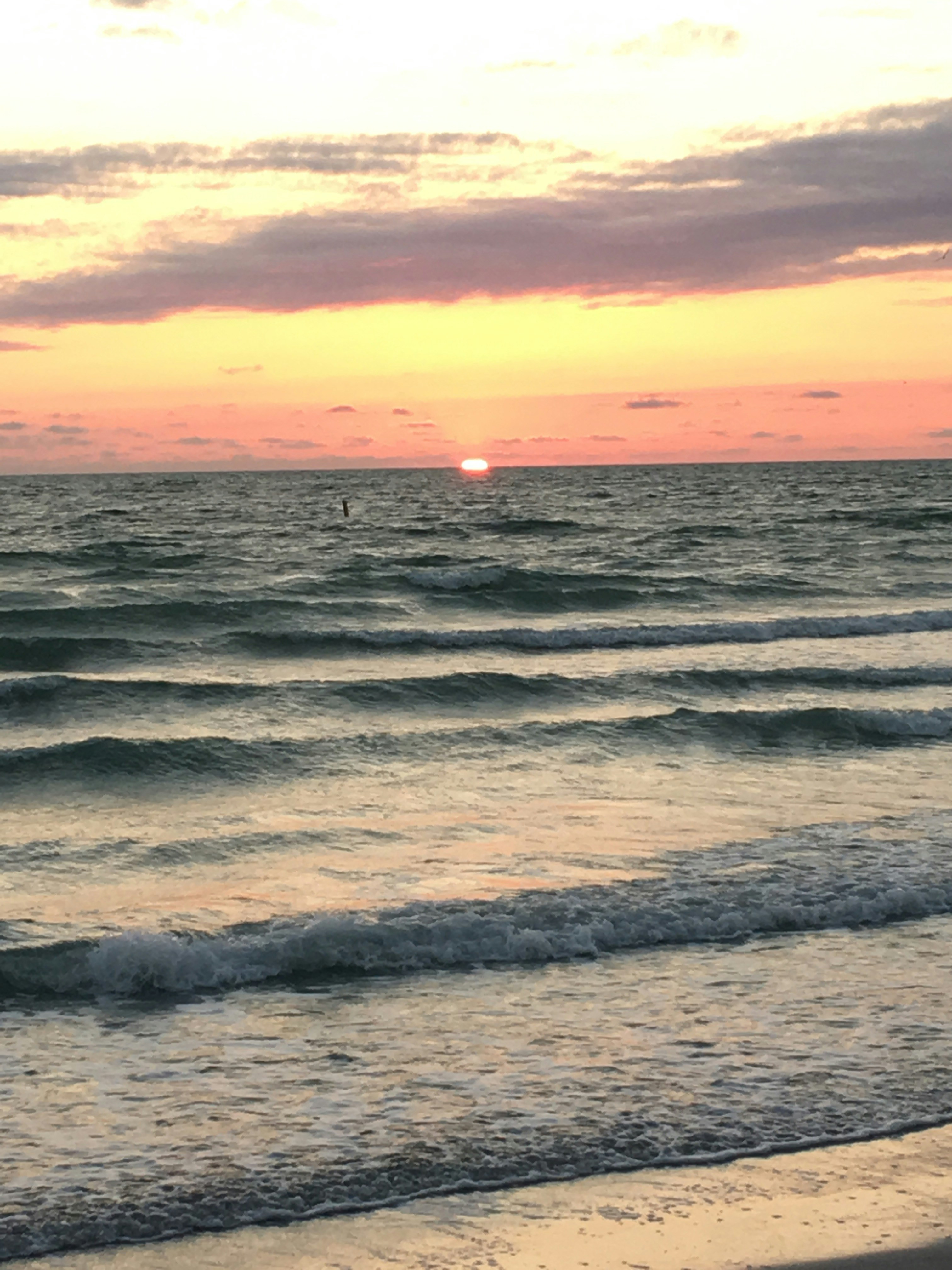 PaintByNumbers 9 best free paintbynumber, outdoor, plant and flower