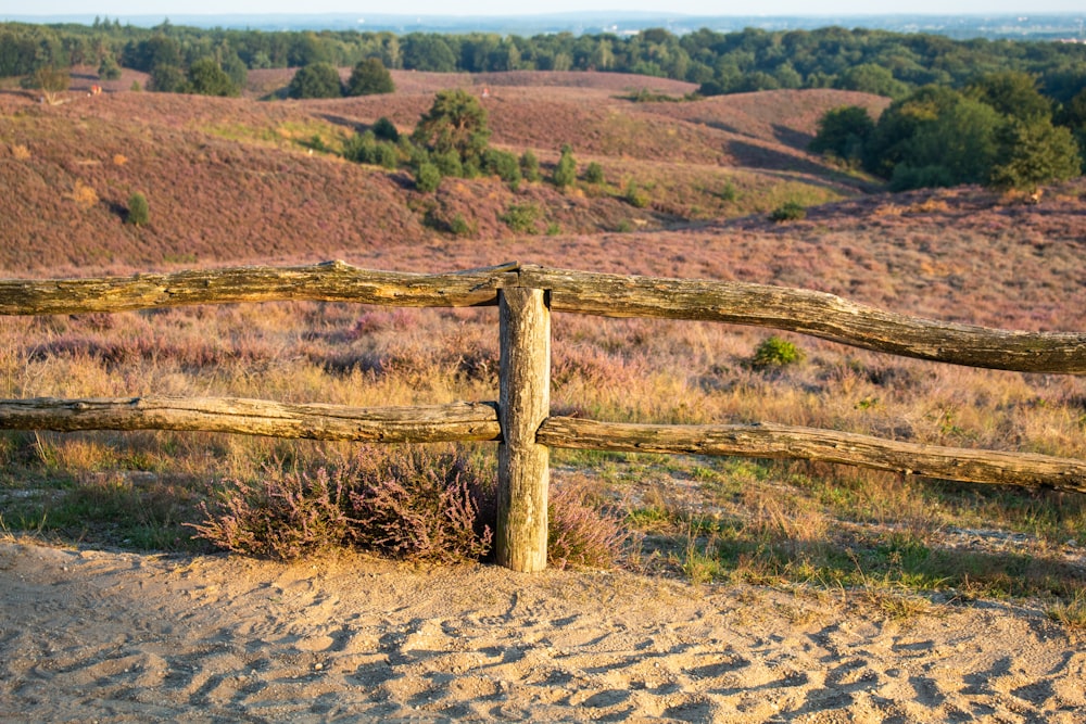 poste de madeira marrom no campo marrom durante o dia