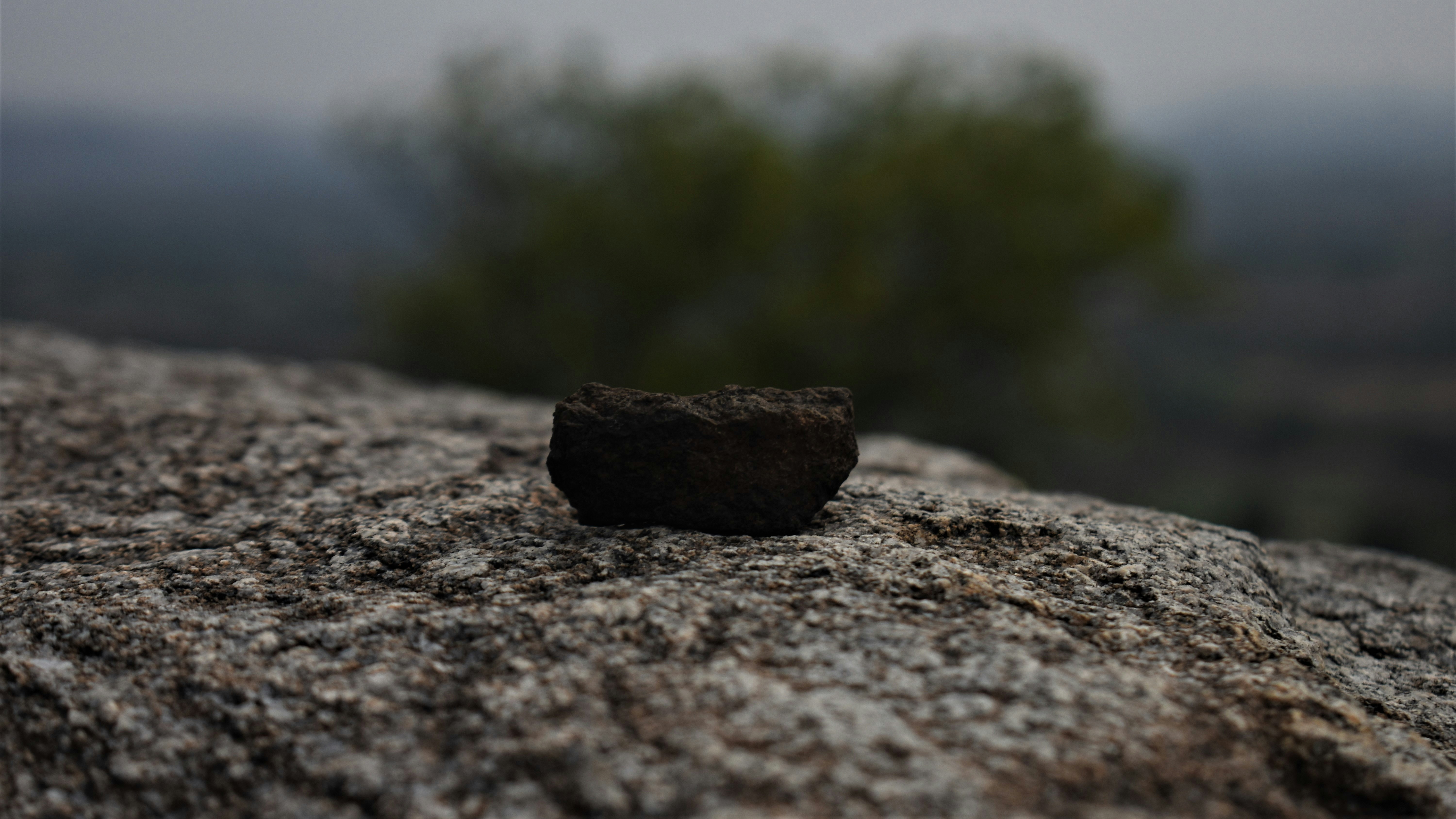 Pure Himalayan Shilajit