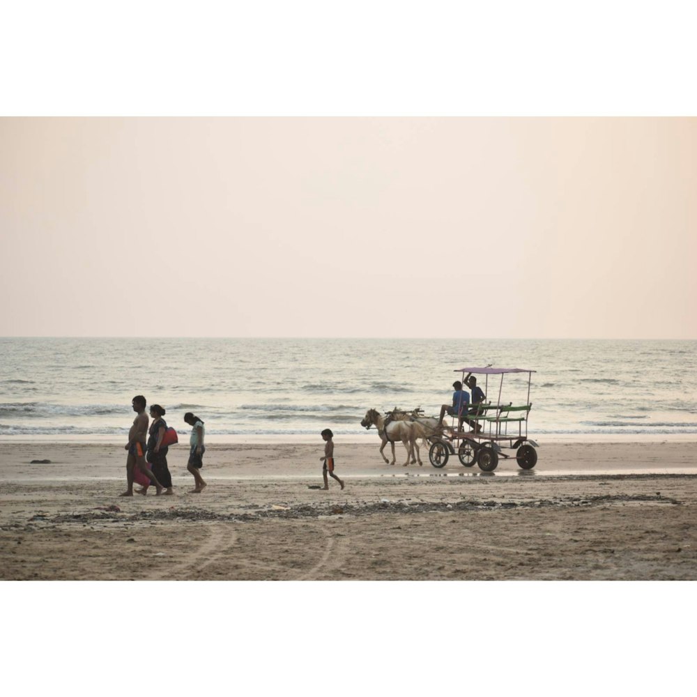 people riding on horse on beach during daytime