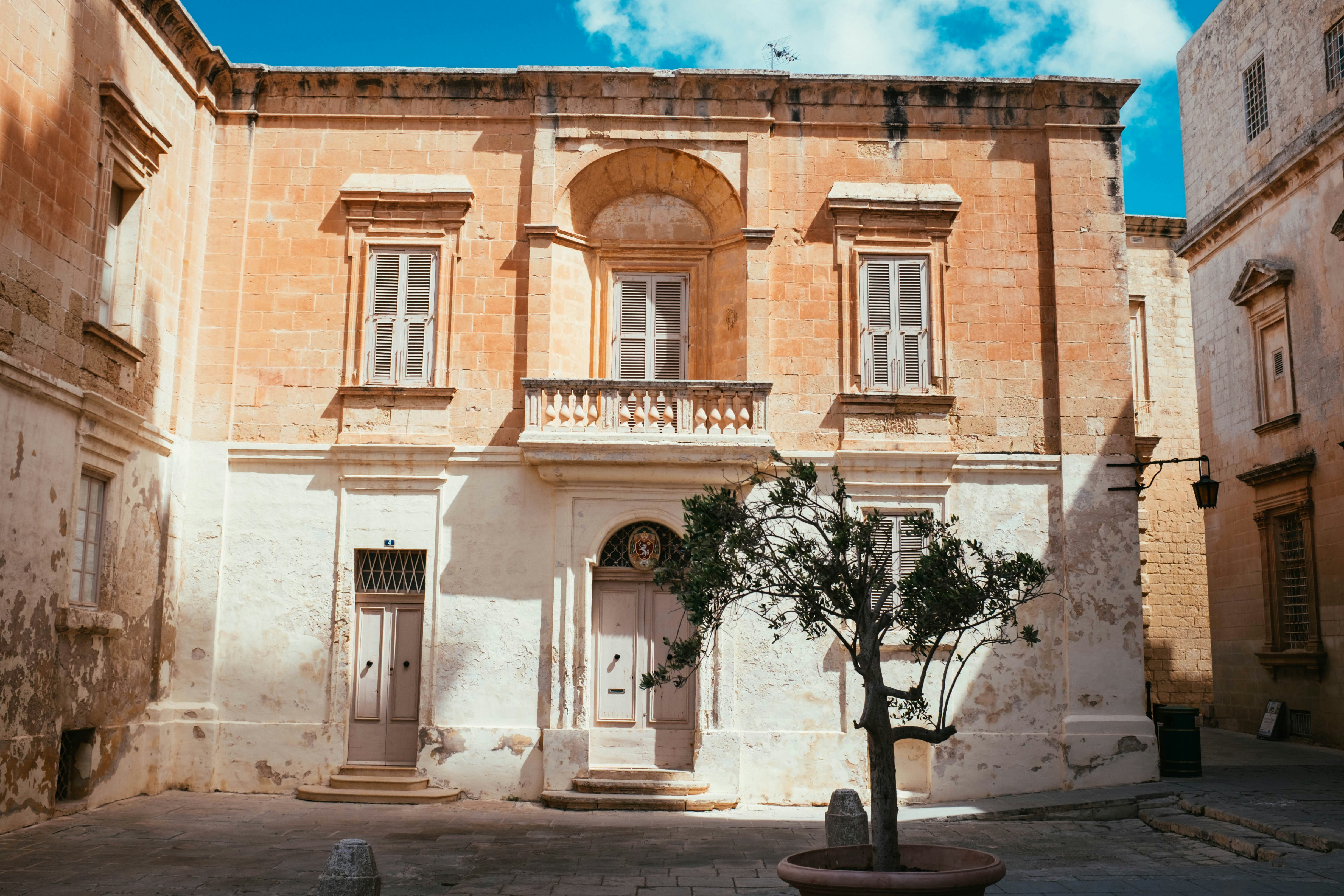 green tree in front of beige concrete building