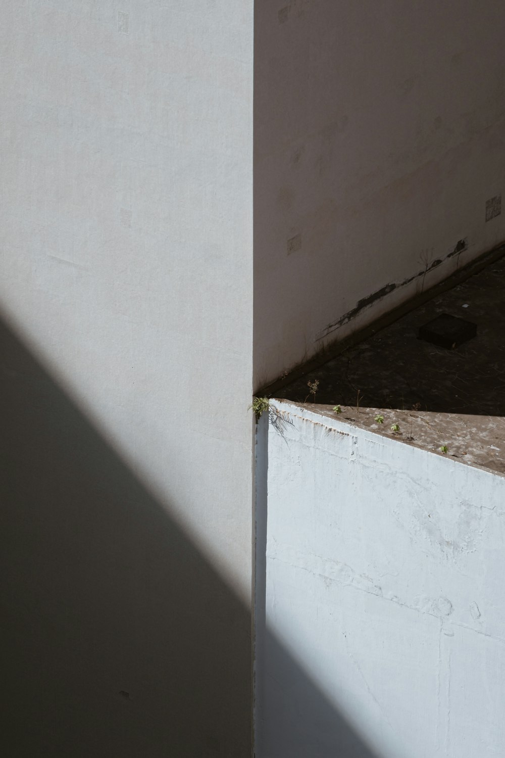 a cat sitting on a ledge next to a wall