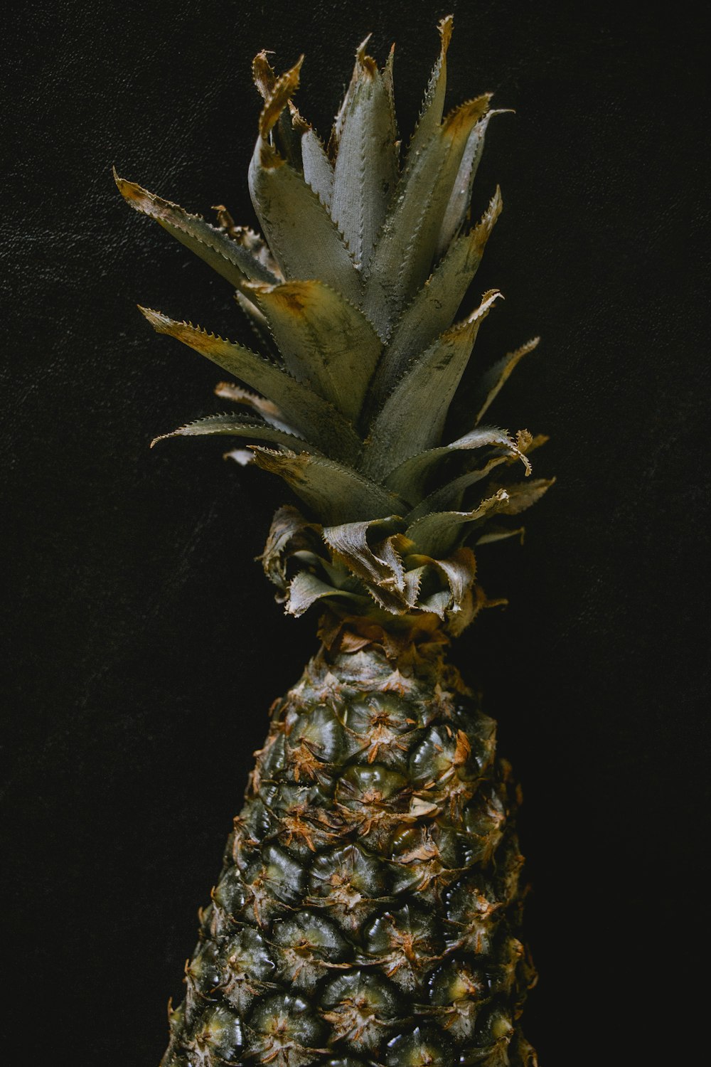 Ananasfrucht mit schwarzem Hintergrund