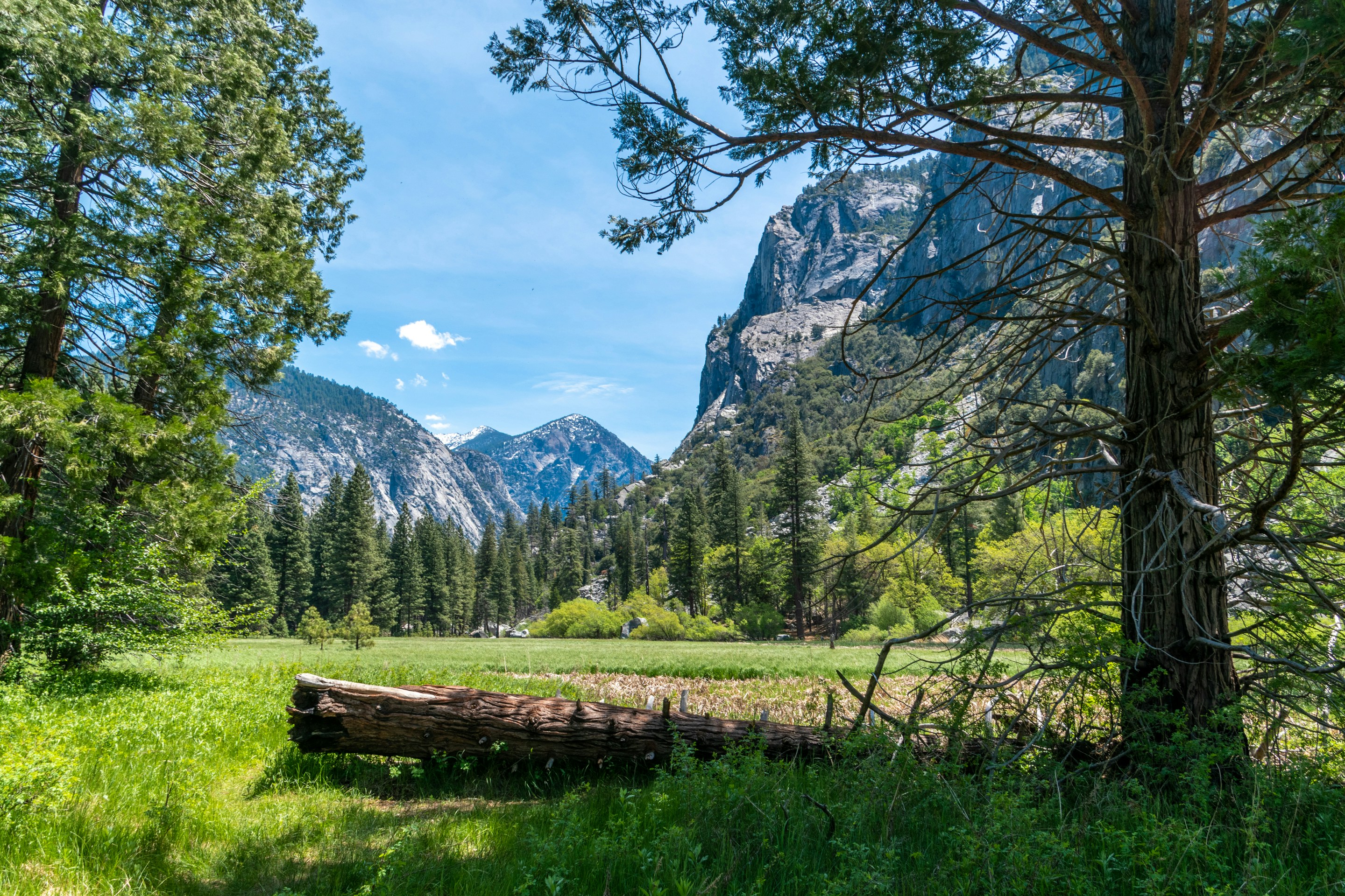green trees near mountain under blue sky during daytime