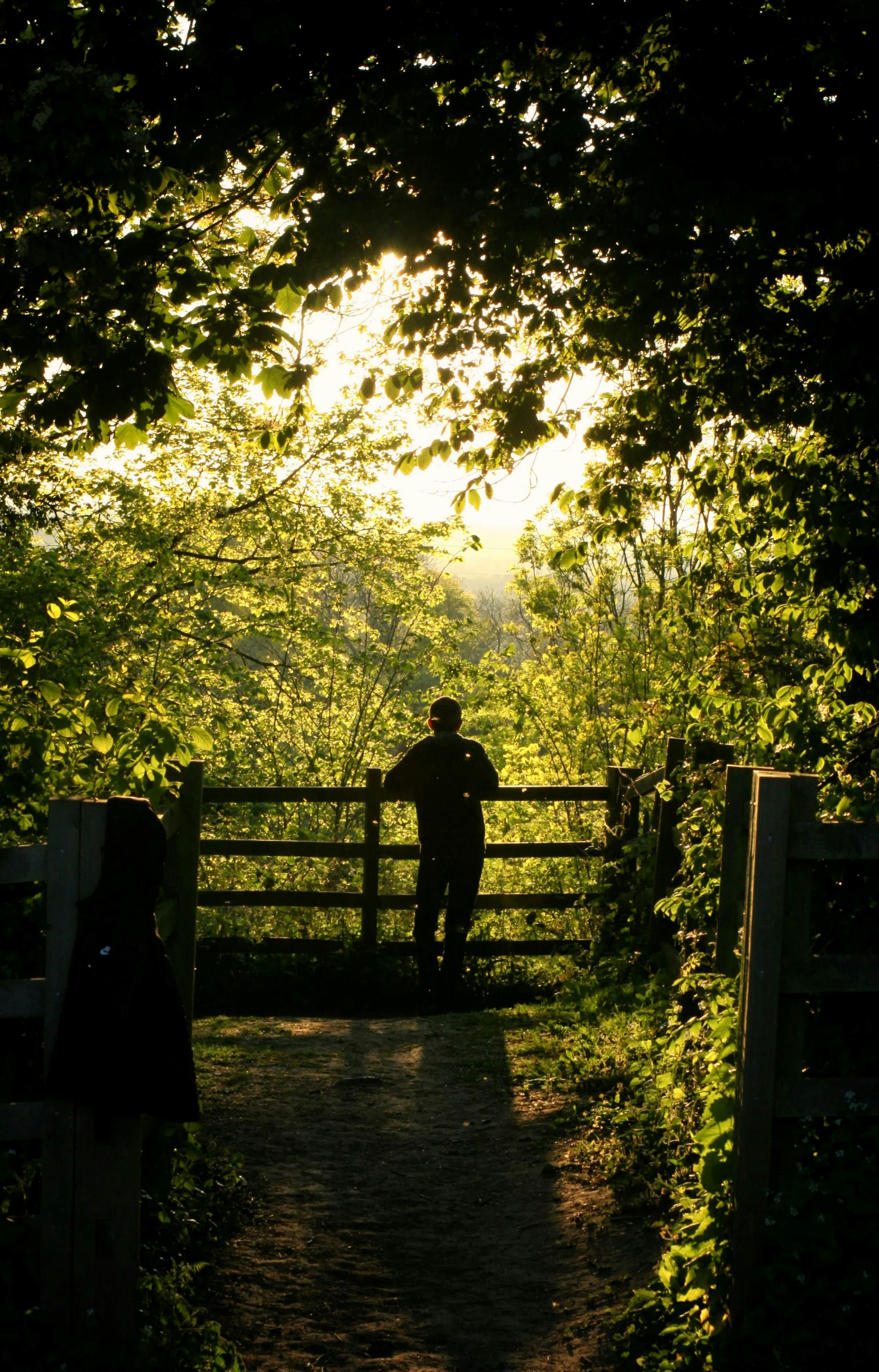 Photo by elliottmatthews