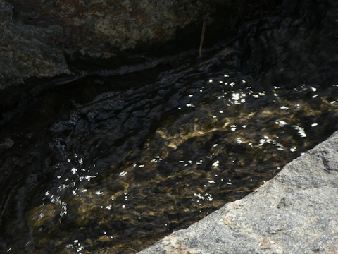 Close-up of a beginner carefully panning gold in a sunlit mountain stream.