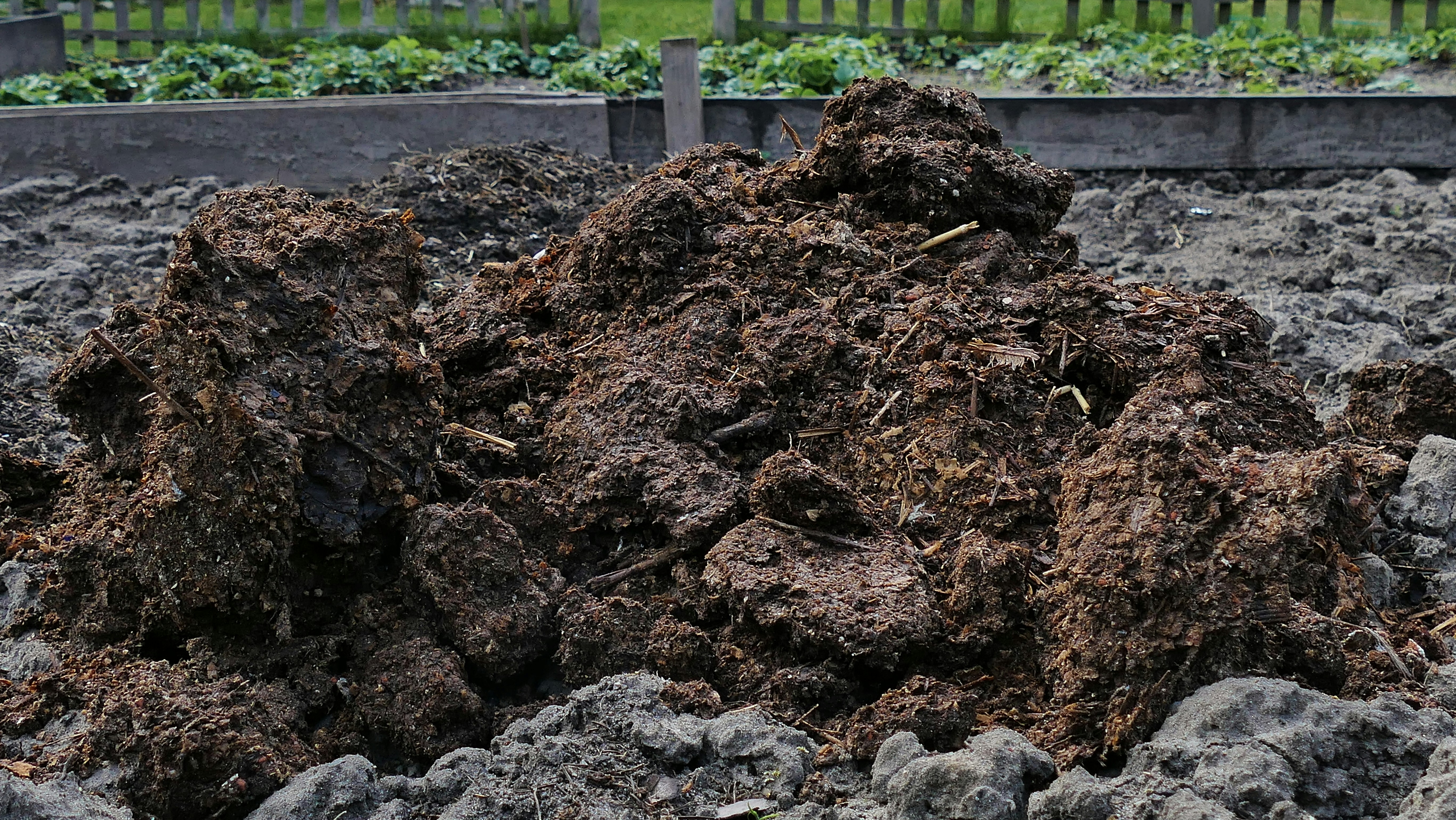 Rich dark compost pile on a farm, shadowed organic material, farm structure in deep background