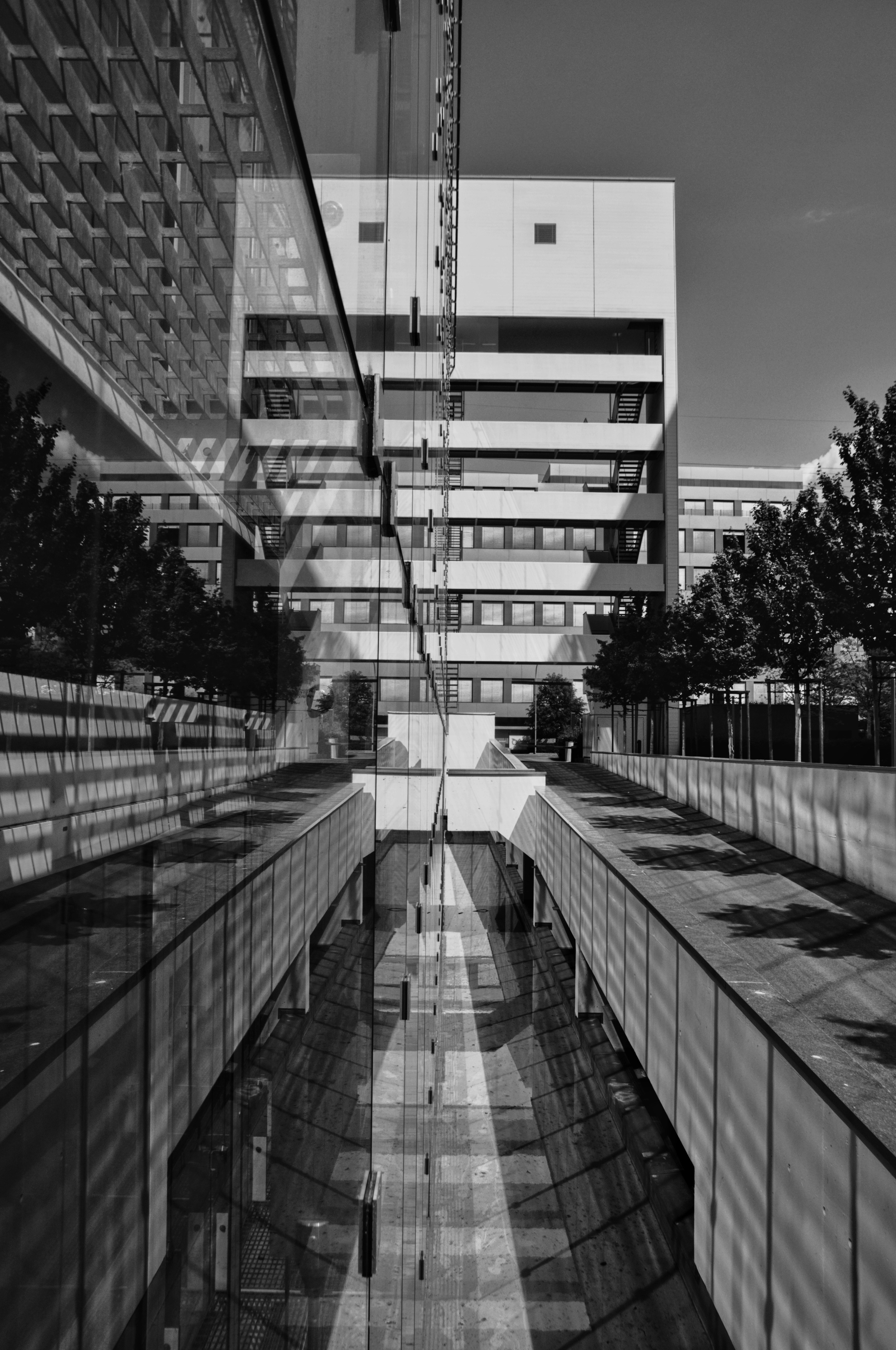 Photo by lukasbachofnerfoto