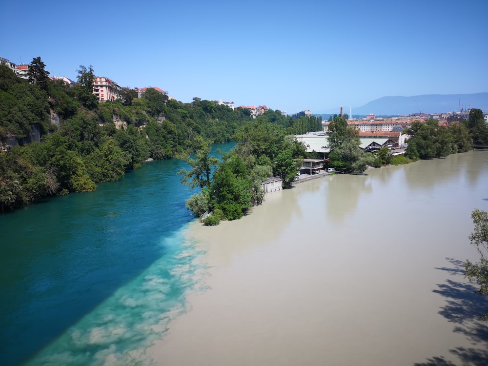 green trees beside body of water during daytime