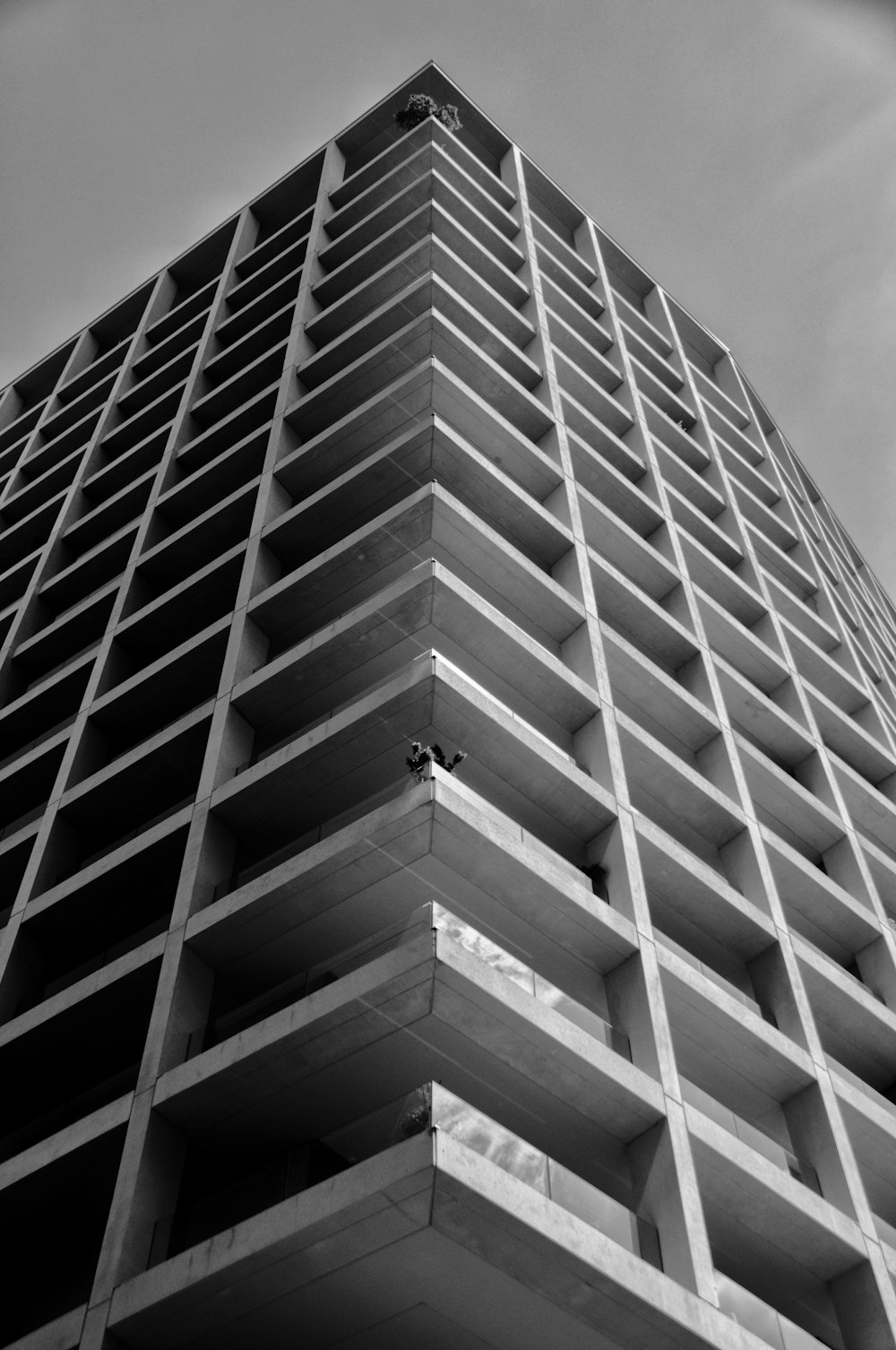 grayscale photo of concrete building