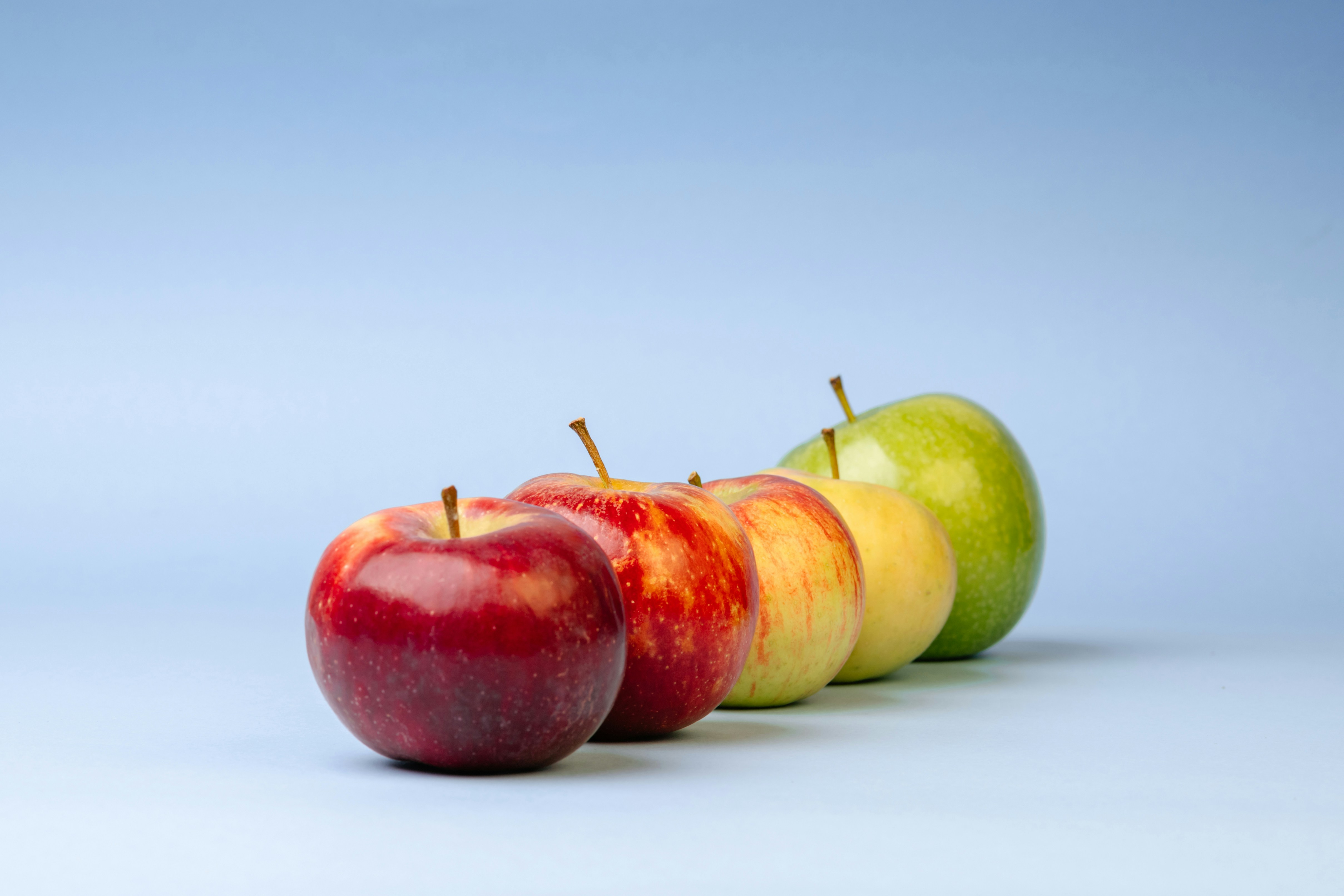 Benvenuto a Food Marketing