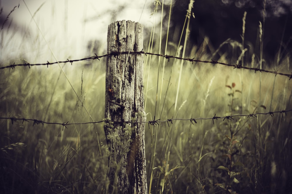 brown wooden fence with barbwire