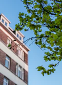 An outdoor shot of the Hathazari branch building framed by lush greenery and clear blue skies.