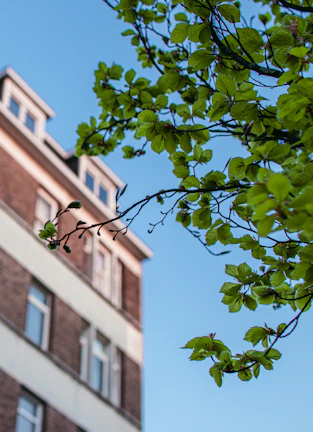An outdoor shot of the Hathazari branch building framed by lush greenery and clear blue skies.