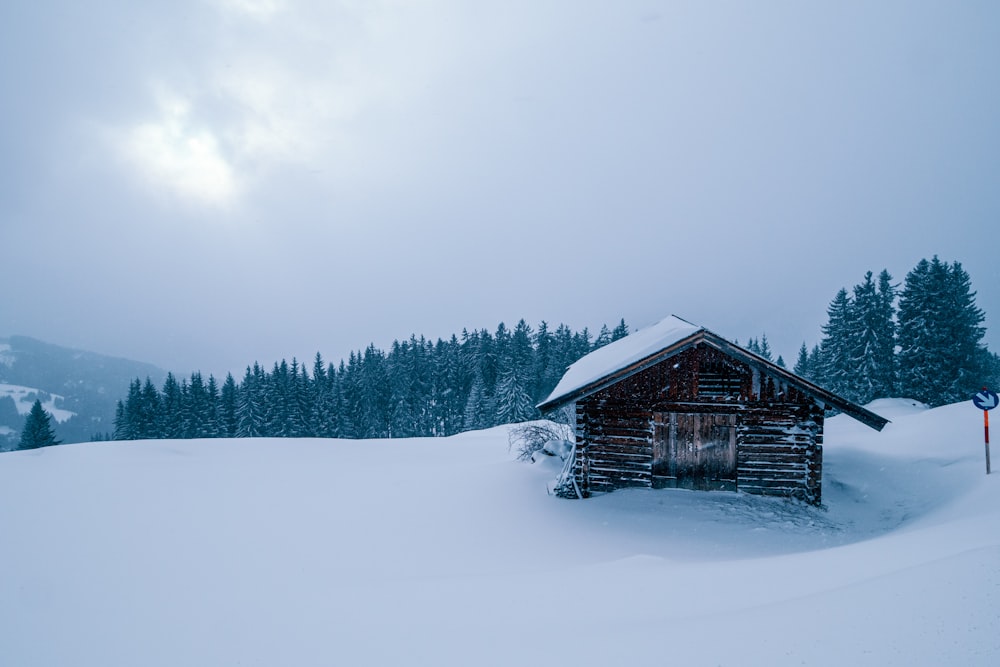 brown wooden house on snow covered ground