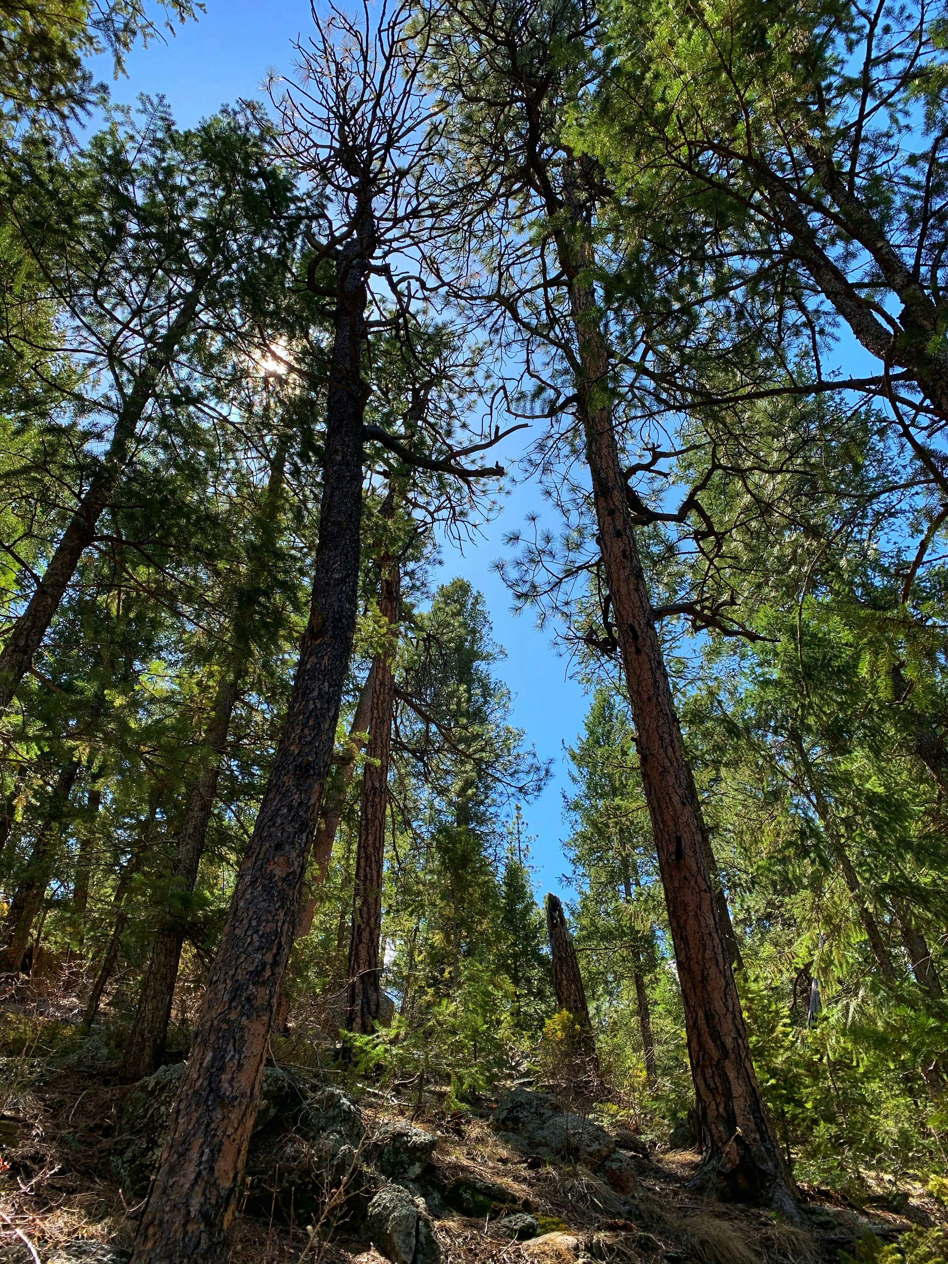 Photo by yaro_muzychenko