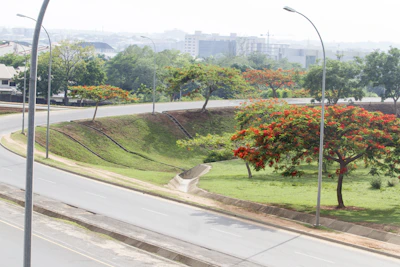 Evening view of wide, well-lit roads lined with flowering trees inside the Friends Colony layout.