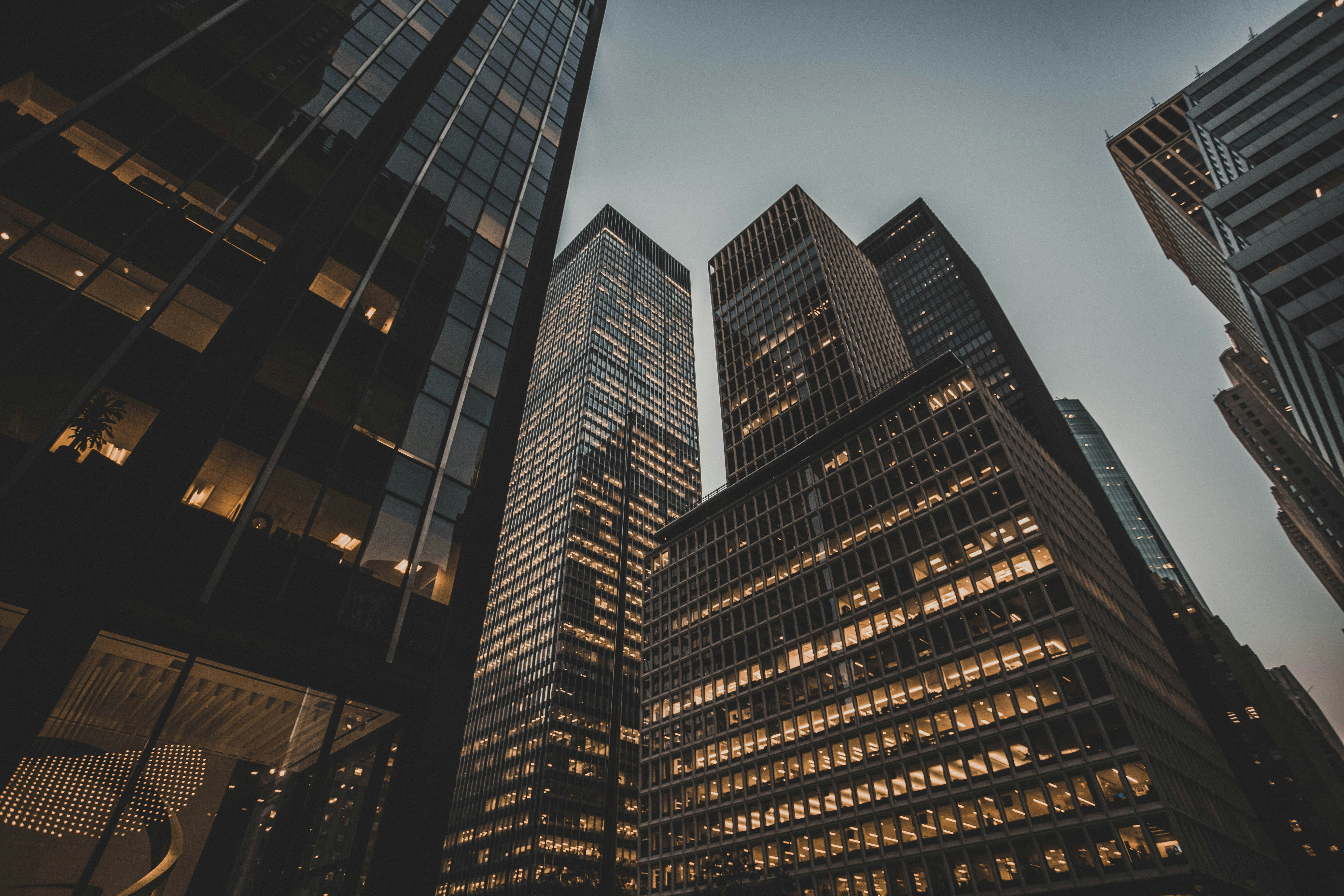 Photo by theshuttervision