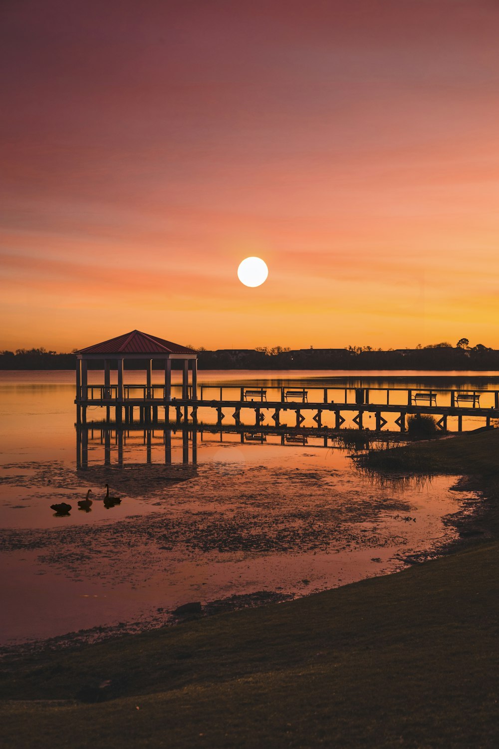 brown wooden house on beach during sunset