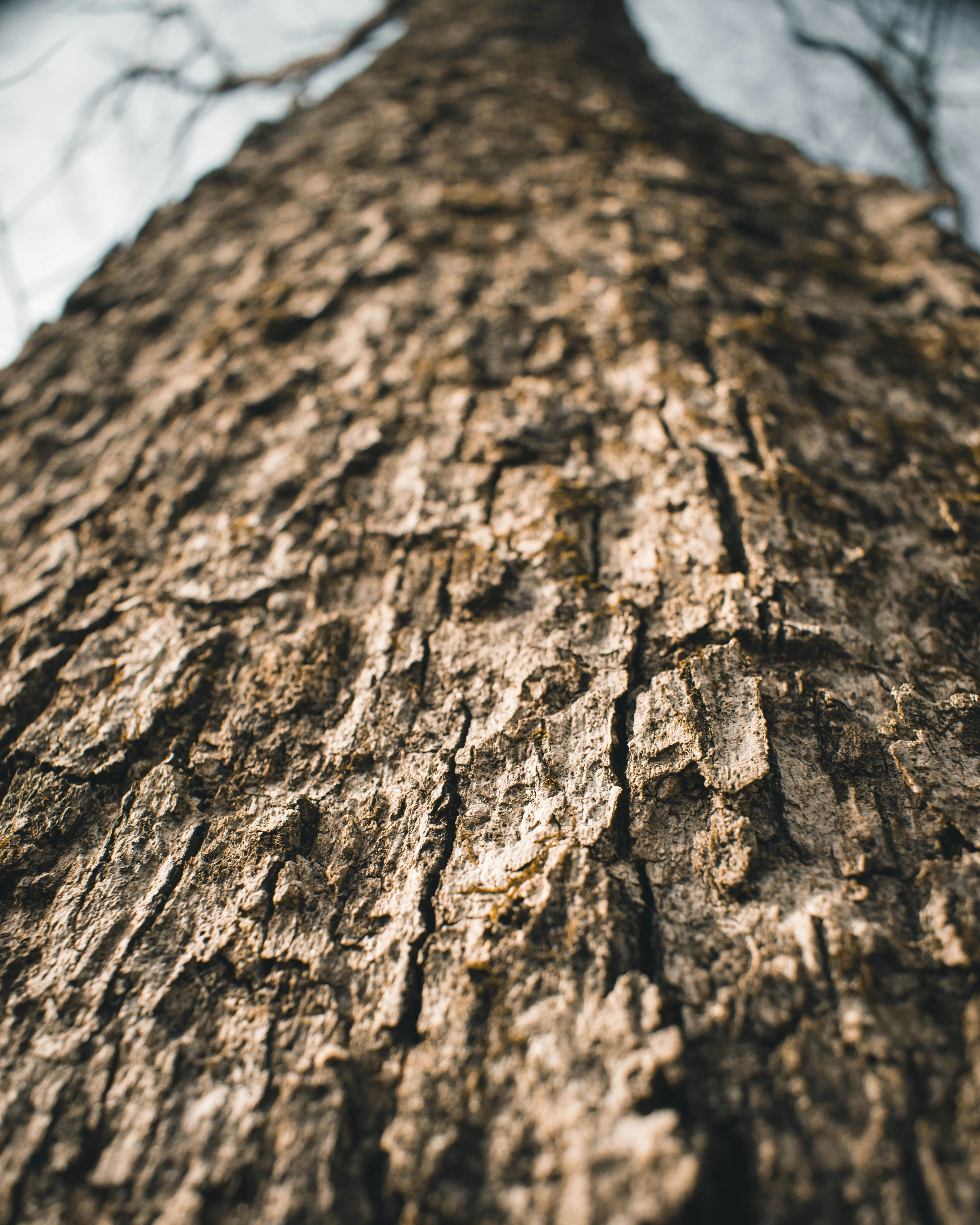 Photo by jphotomedia