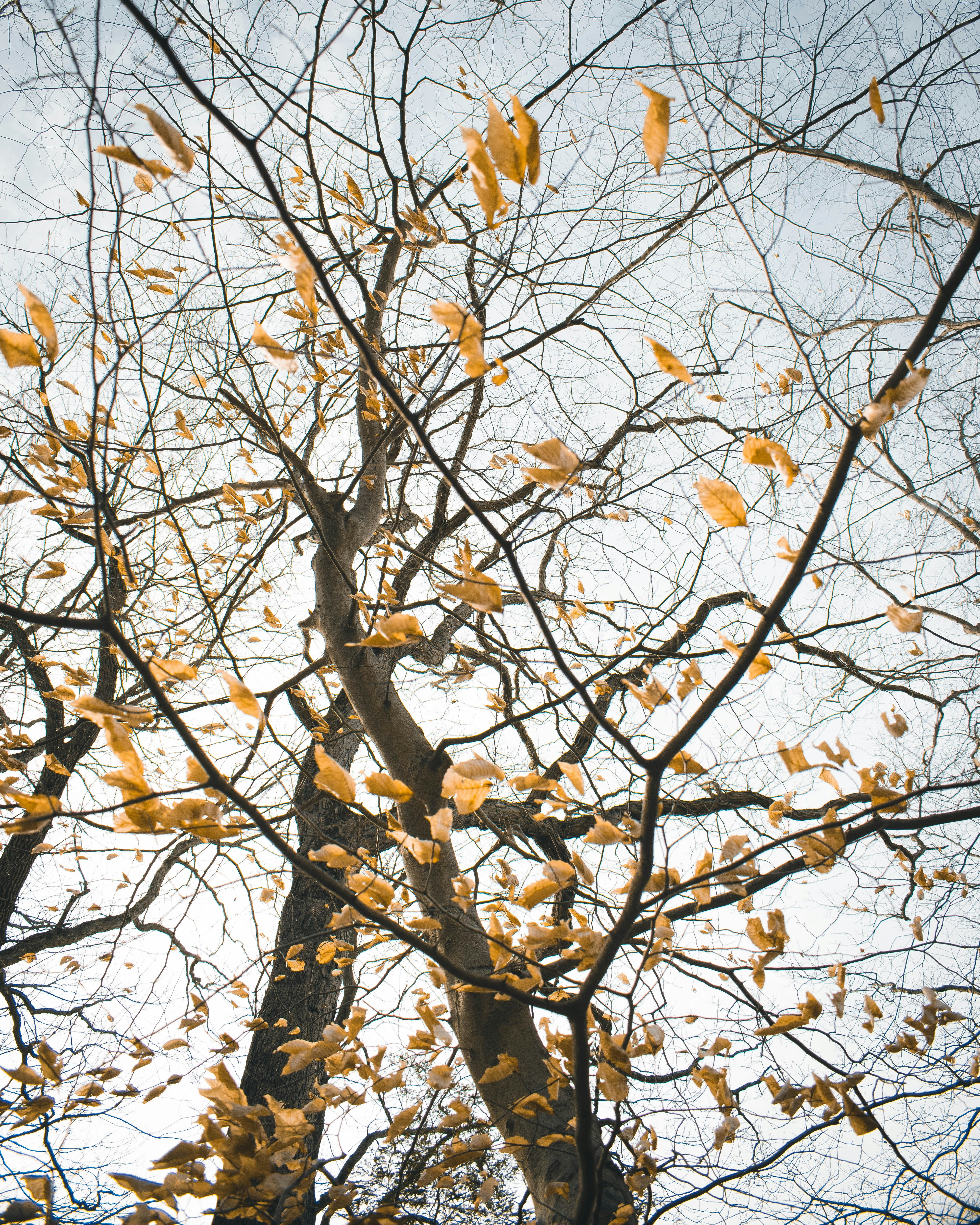 Photo by jphotomedia