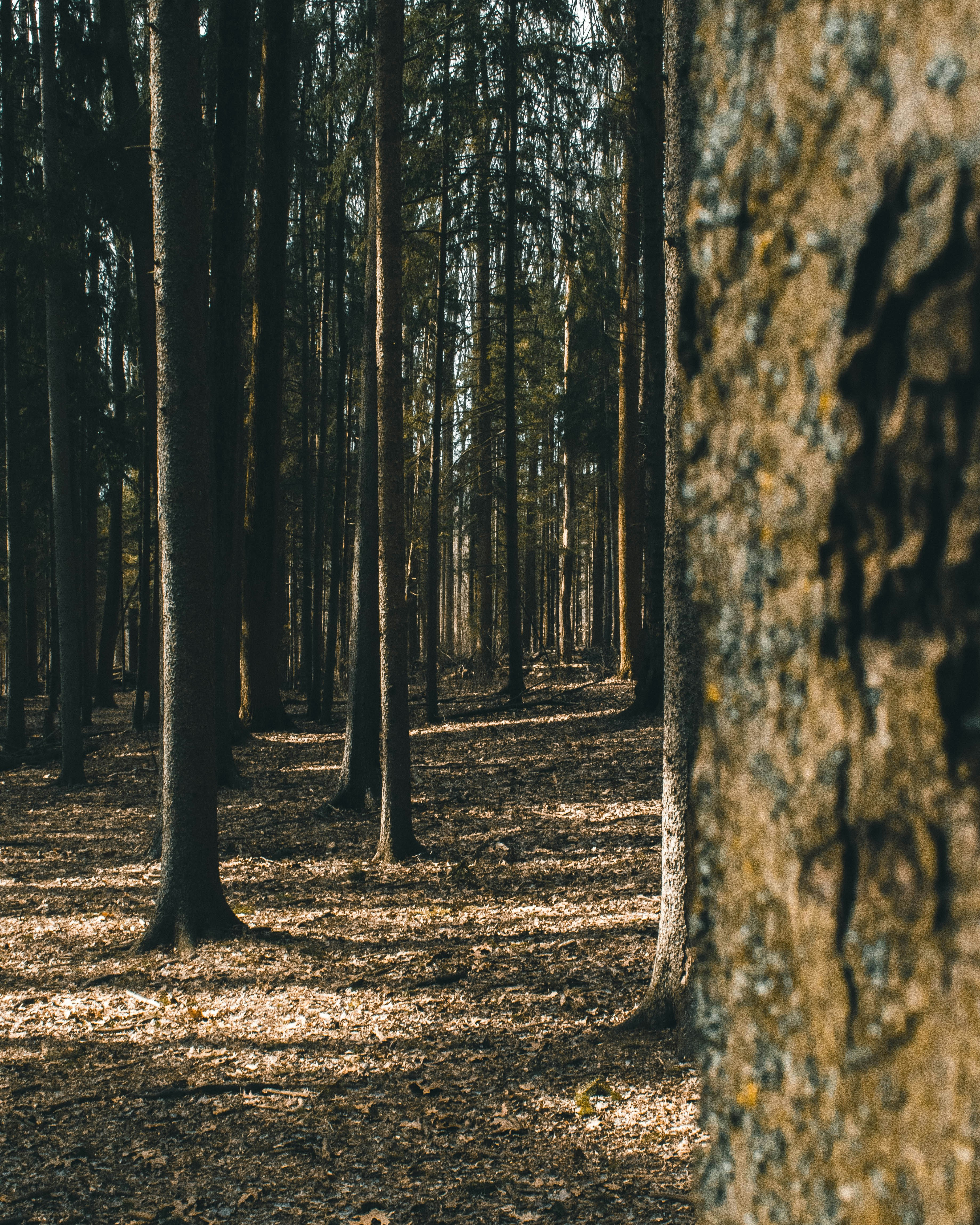 Photo by jphotomedia