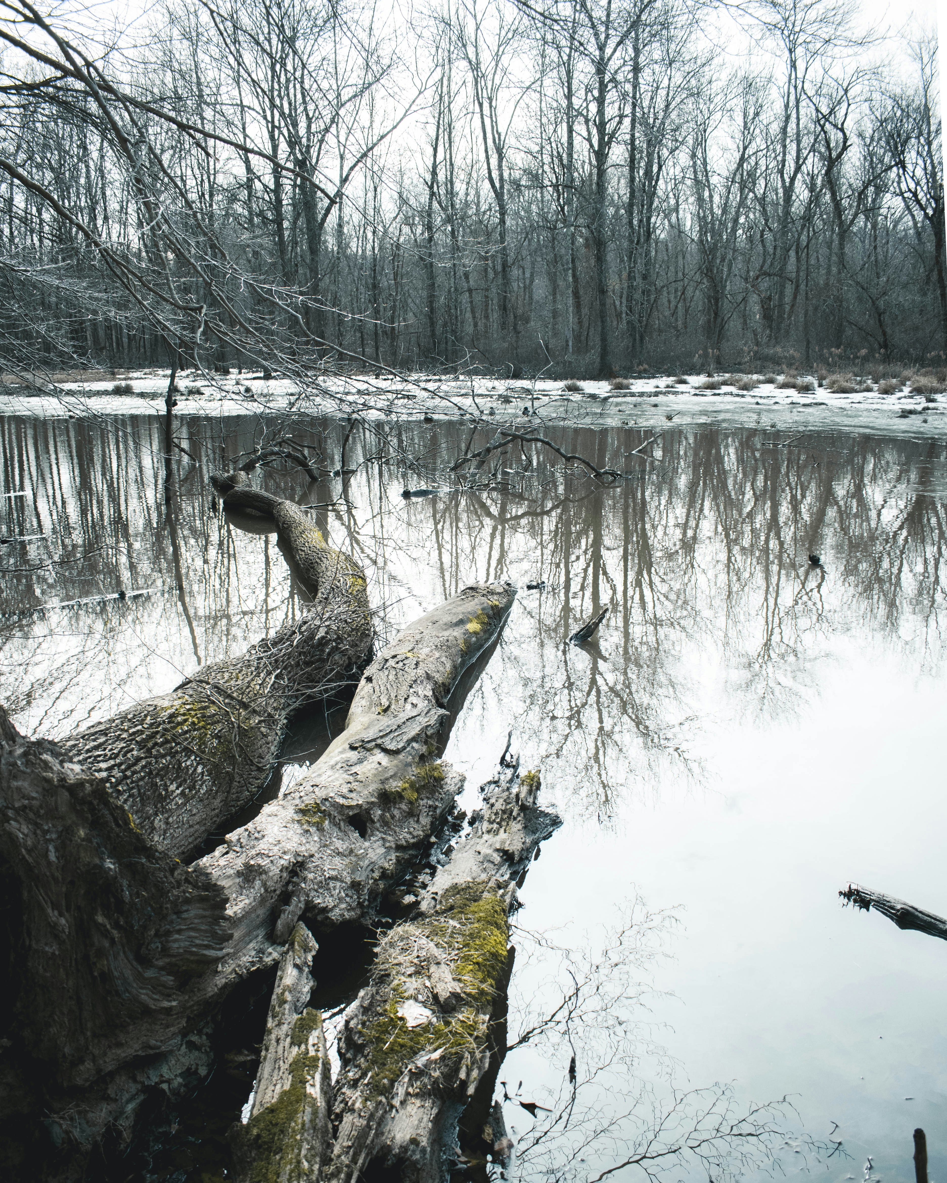 Photo by jphotomedia