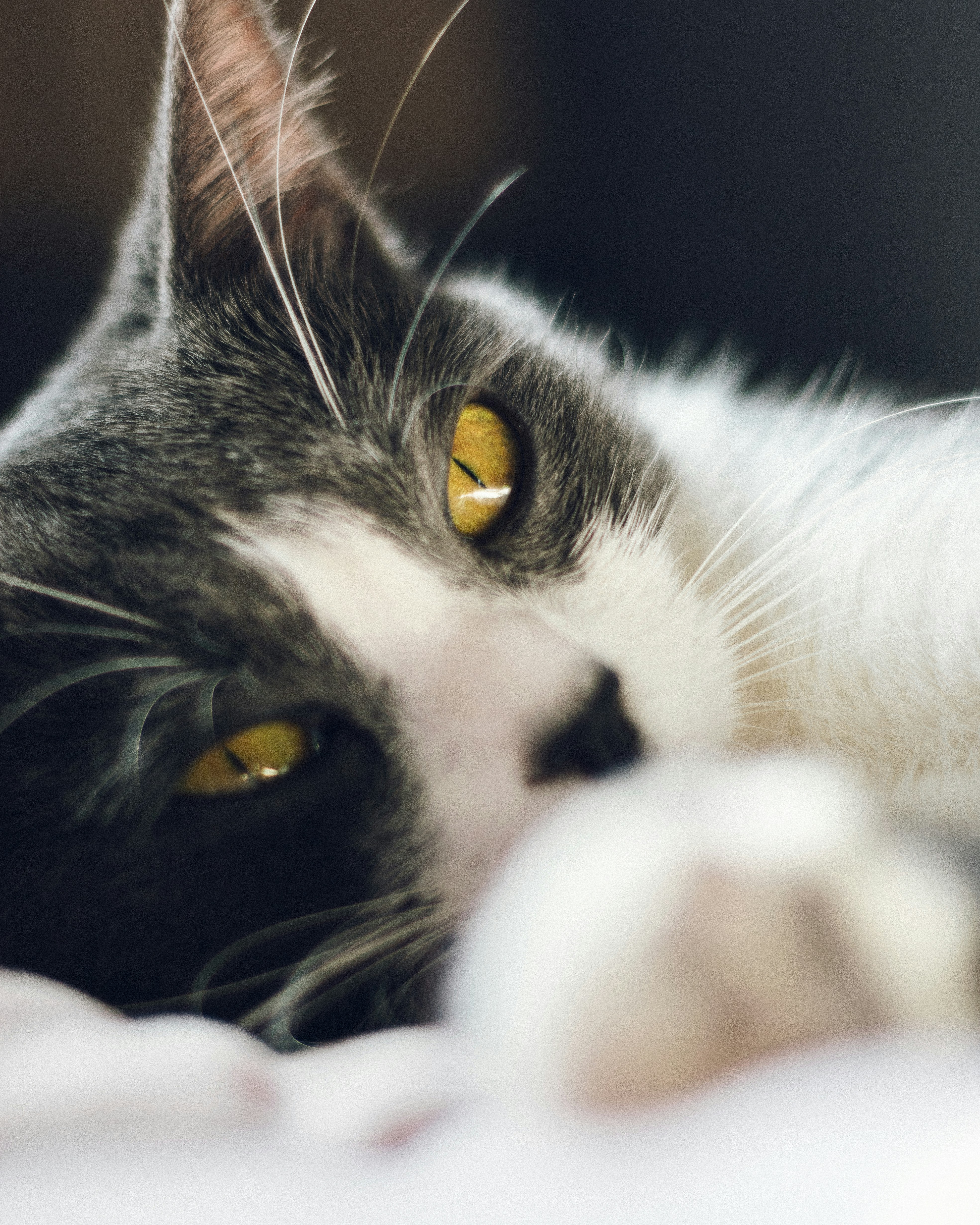 Photo by jphotomedia