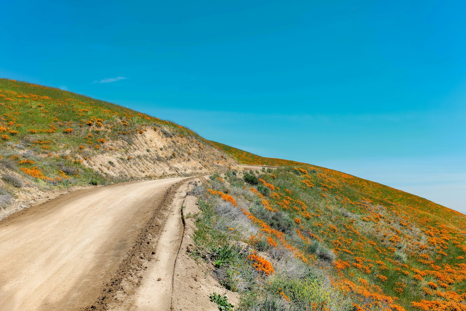 Leica Tri-Elmar-M 16-18-21mm F4 ASPH sample photo. Gray dirt road between photography