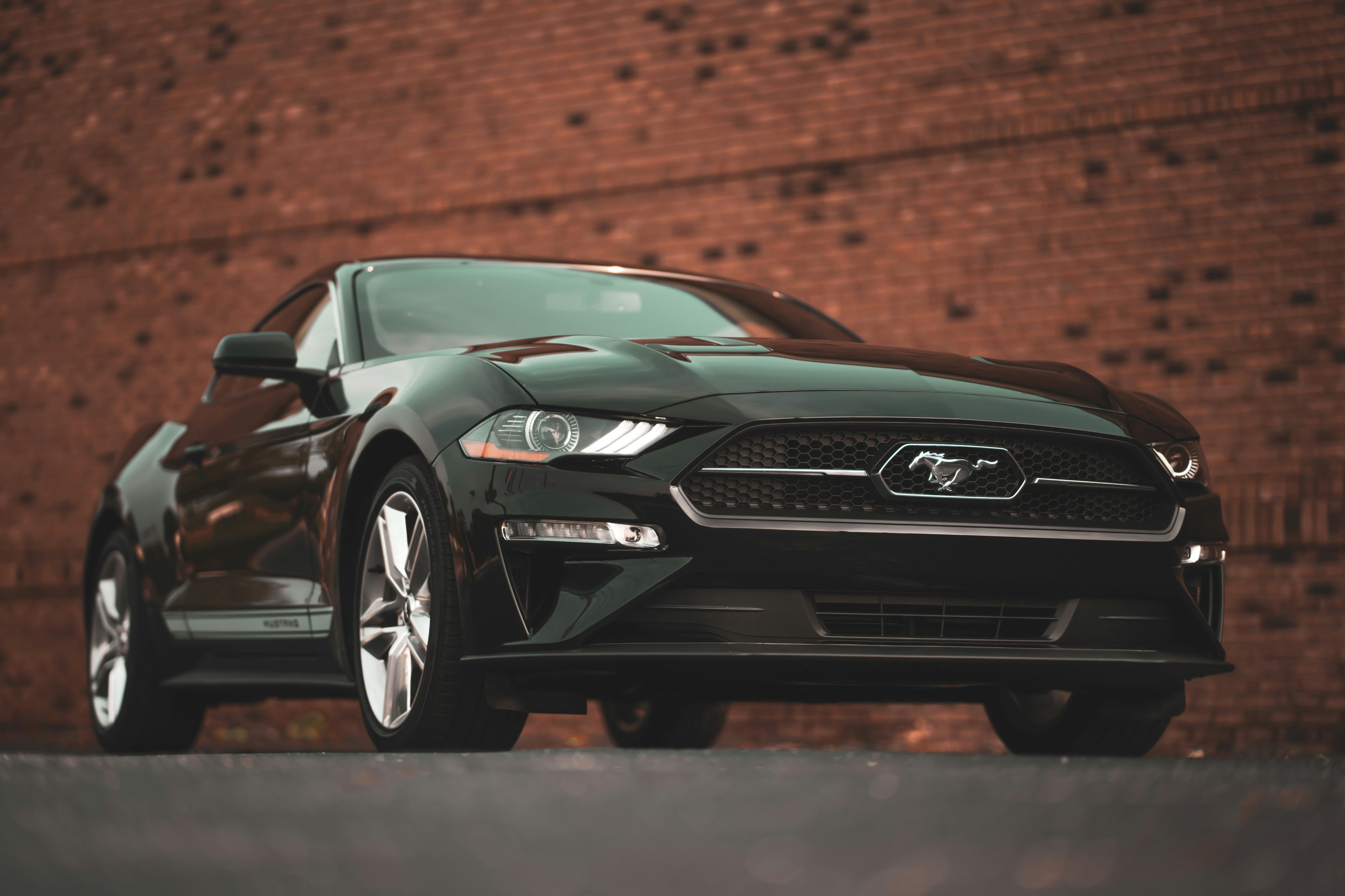 Photo by 535_productions