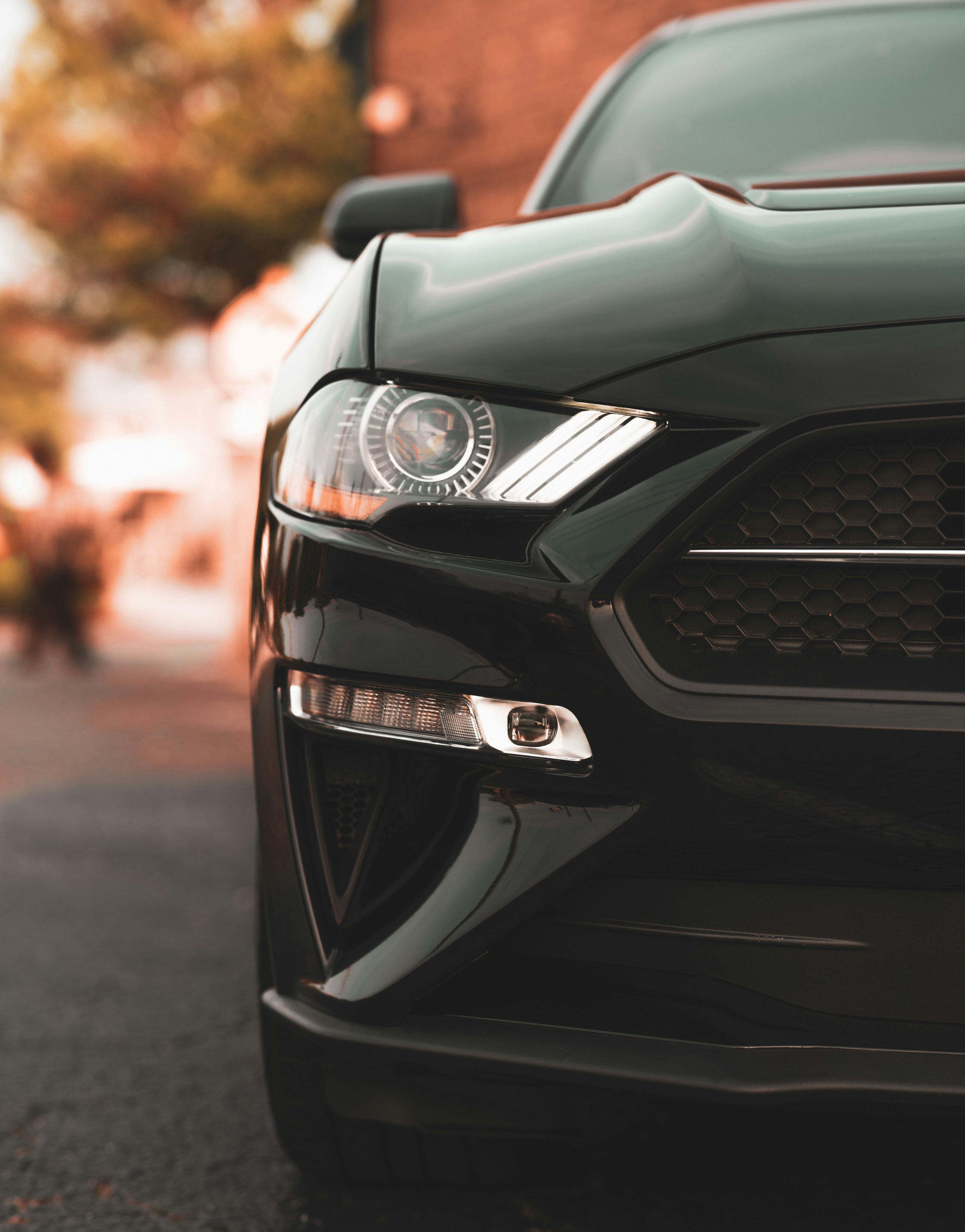 Photo by 535_productions