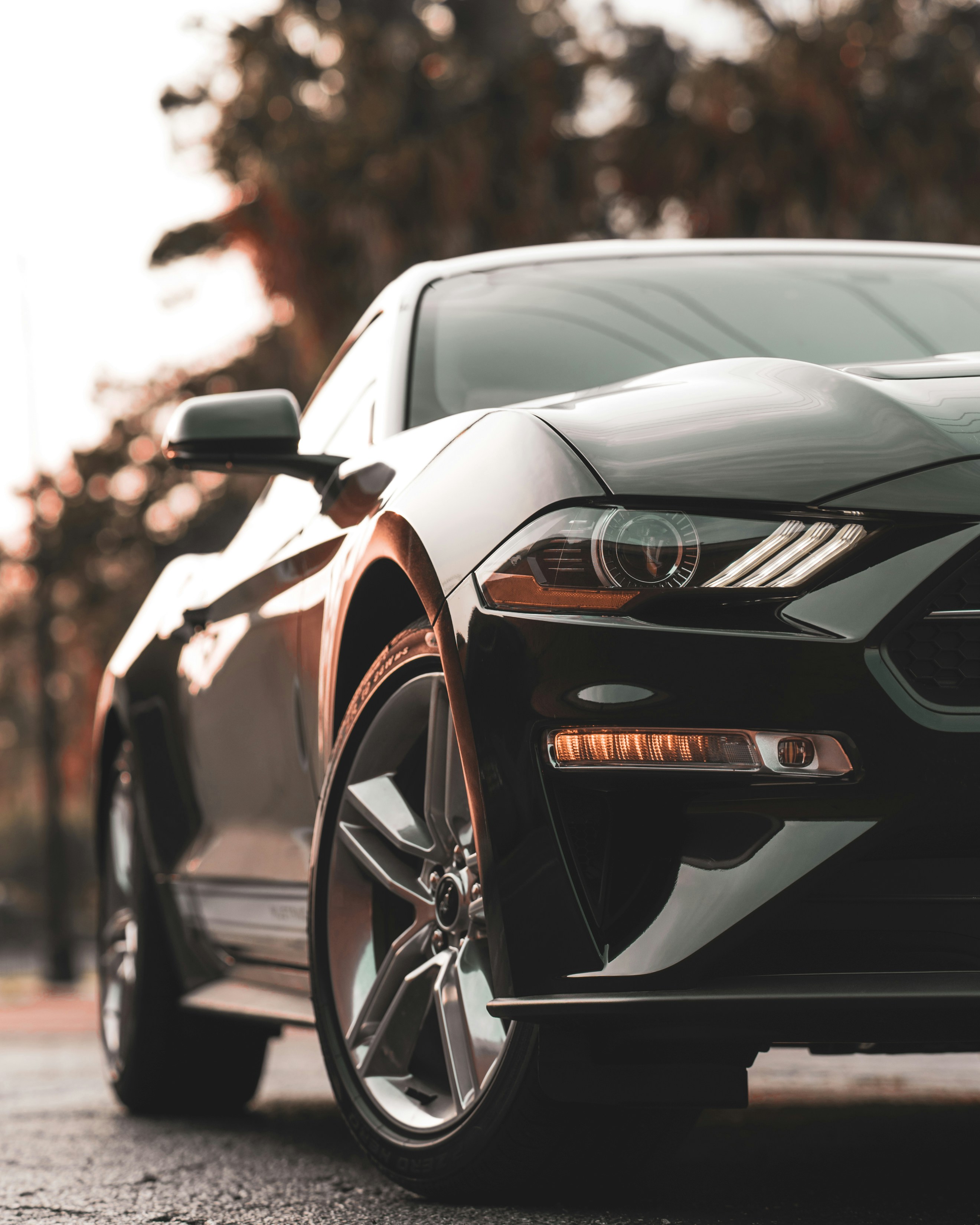 Photo by 535_productions