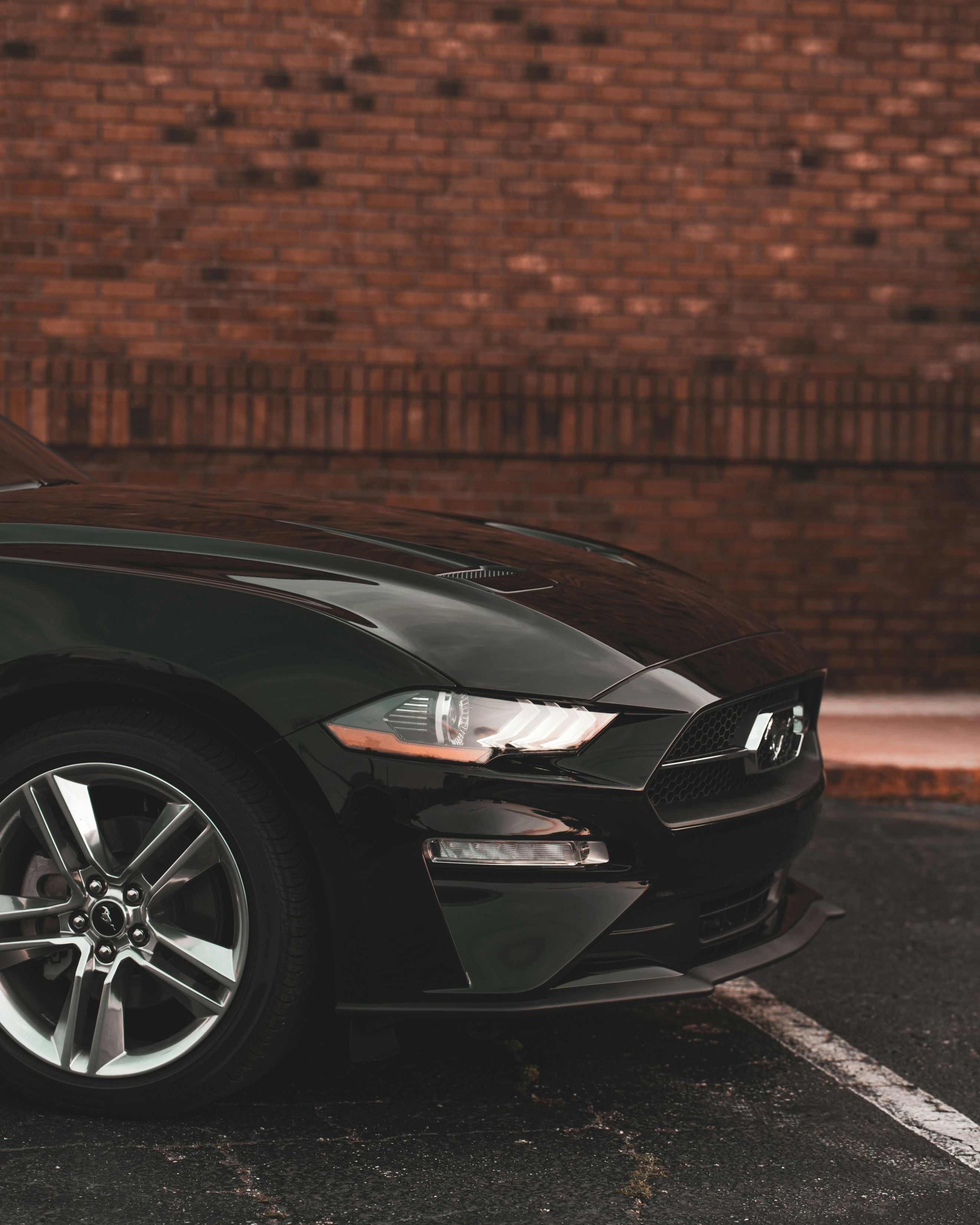 Photo by 535_productions