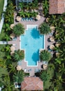 View of the hotel pool surrounded by palm trees and sun loungers.