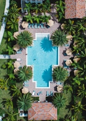 View of the hotel pool surrounded by palm trees and sun loungers.