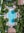aerial view of blue and white concrete building surrounded by green trees