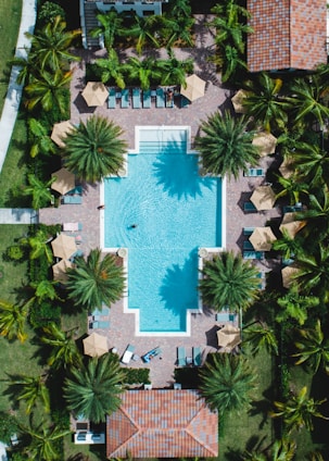 aerial view of swimming pool with palm trees