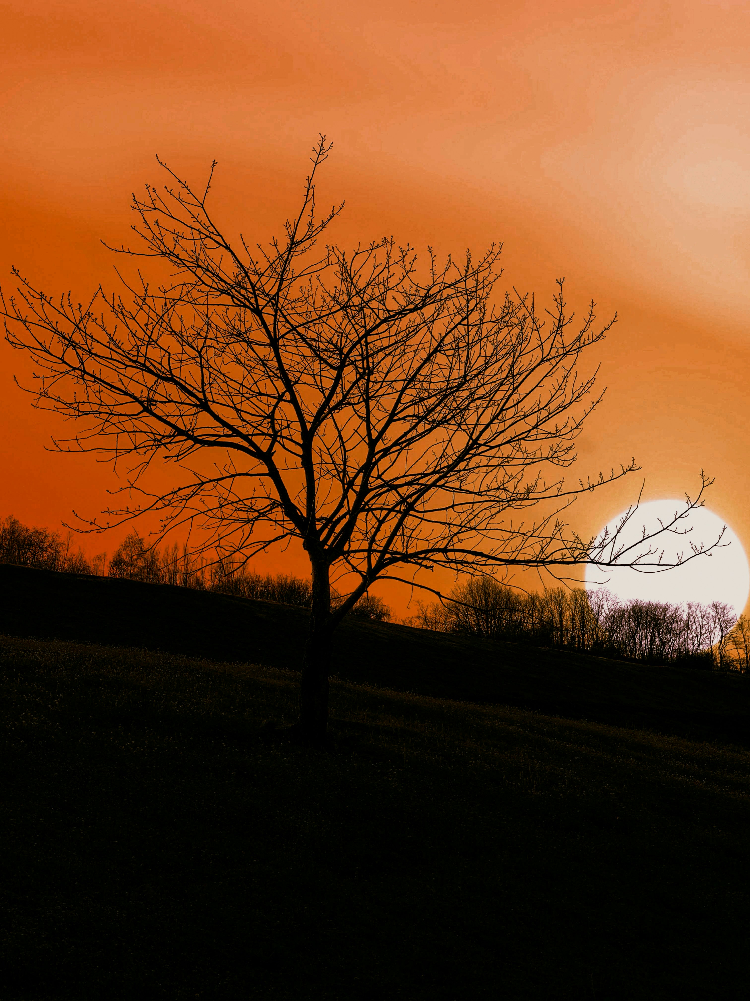 Photo by omarvellous14