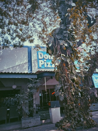 A pizza restaurant is partially visible, with its sign in the background. A large tree with dense, leafy vines occupies the right side of the image, casting shadows on the building. The setting appears to be outdoors, featuring a mix of natural and urban elements.