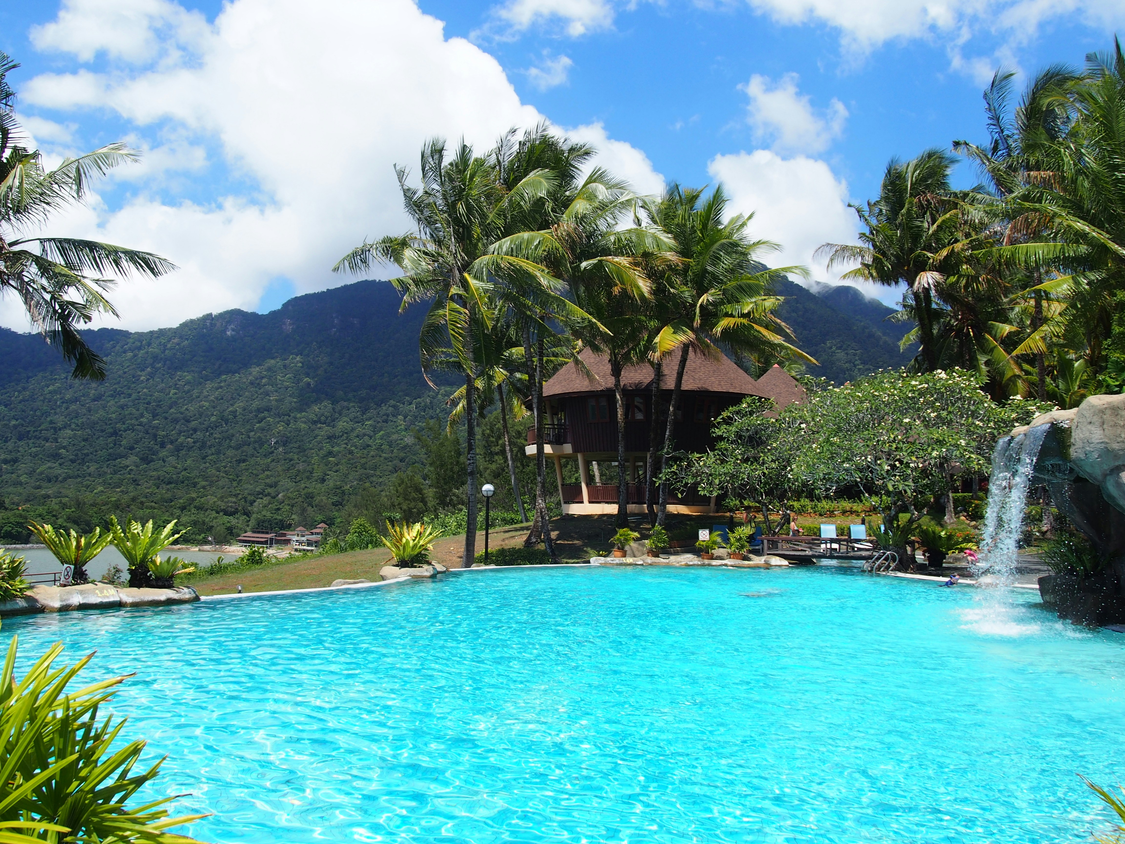 green palm trees near body of water during daytime