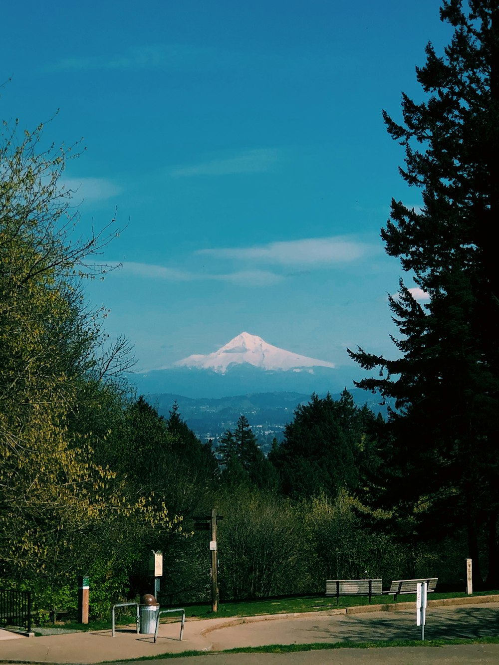 alberi verdi vicino alla montagna sotto il cielo blu durante il giorno