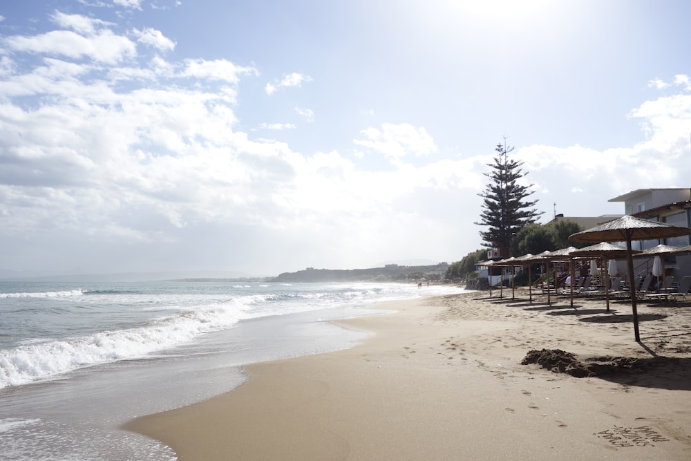 people on beach during daytime