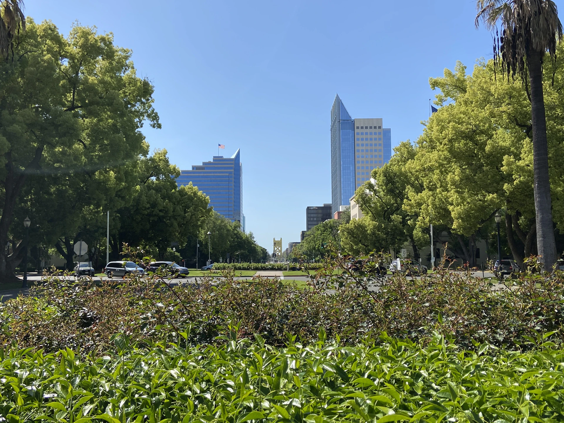 green trees near white concrete building during daytime