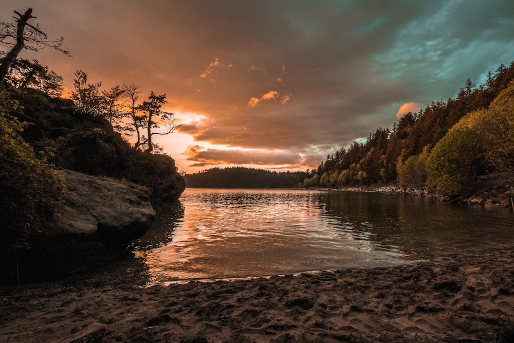 body of water near trees during sunset