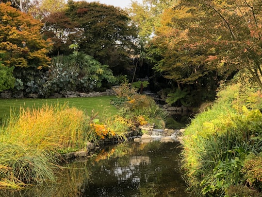 green grass and trees beside river during daytime in Hyde Park United Kingdom