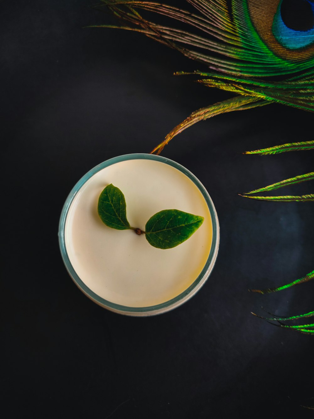 a glass of milk with a green leaf on top