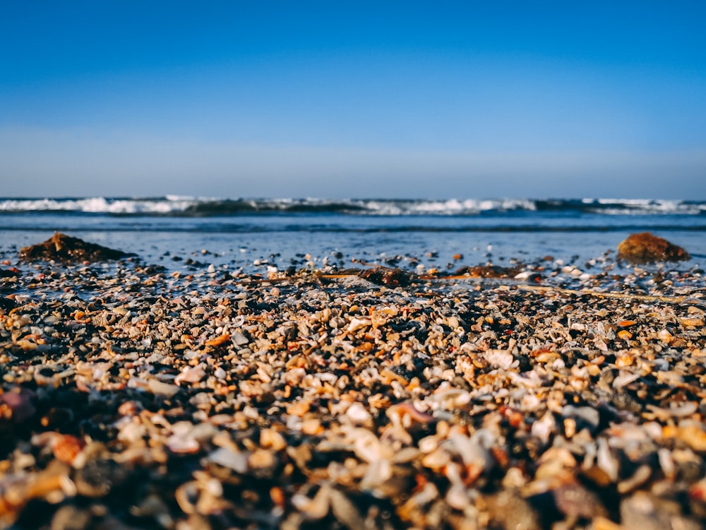 a close up of a beach with rocks and water